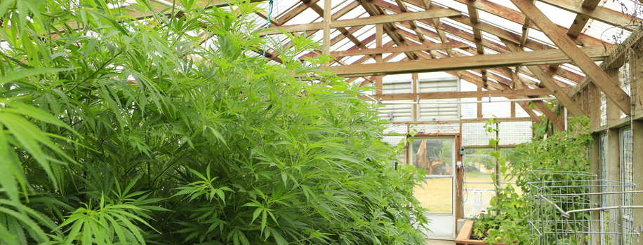 Security Solutions for Apartments in Austin, OH